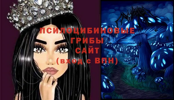 гидропоника Иннополис