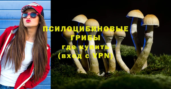 таблы Инсар
